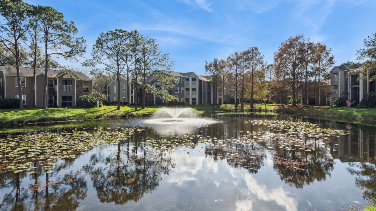 Photo of Outdoor in Park Central