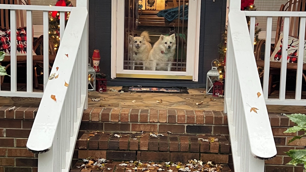 Photo of Outdoor in North Augusta