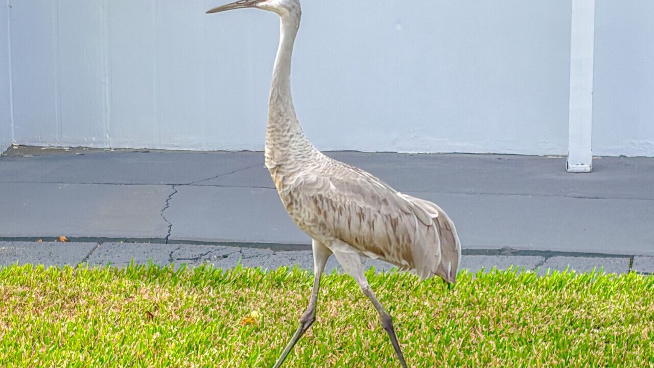 Photo of Others in Crooked Lake Park