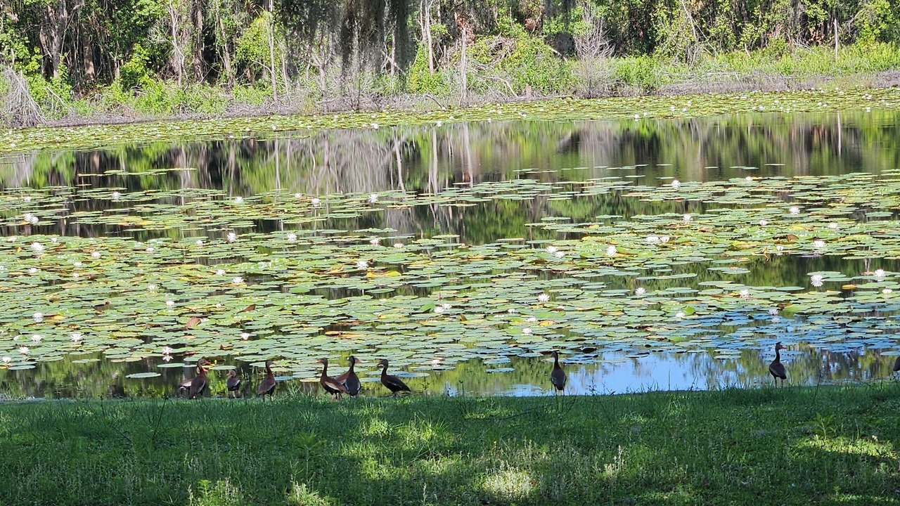 Photo of Others in Lake Helen