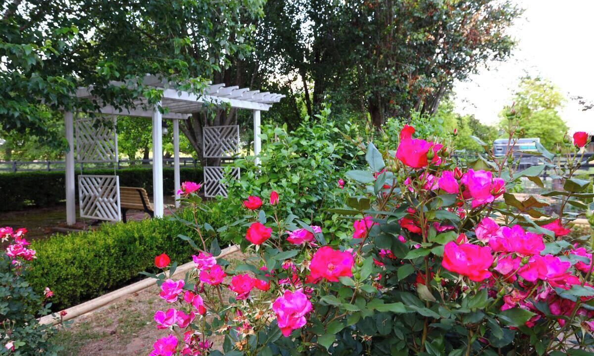 Photo of Outdoor in Aiken
