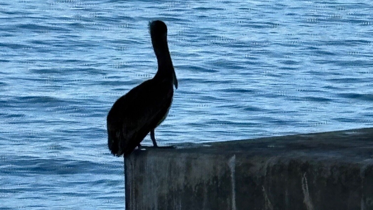 Photo of Others in Isla del Sol