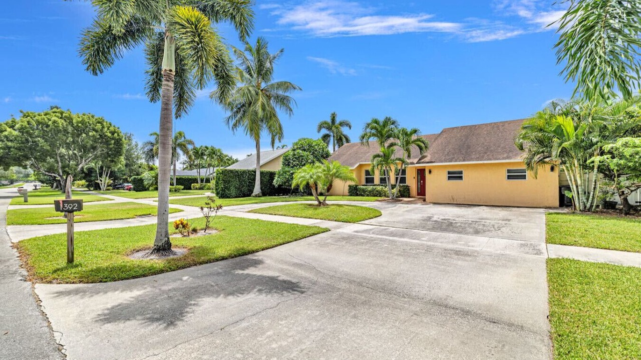 Photo of Outdoor in Tropic Palms