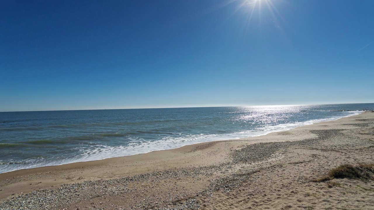 Photo of Others in Edisto Island