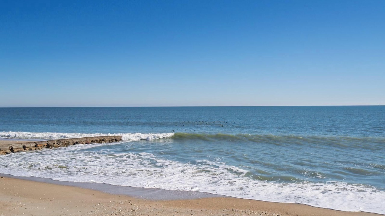 Photo of Others in Edisto Island