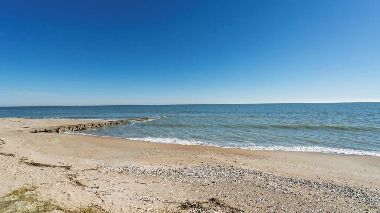 Photo of Others in Edisto Island