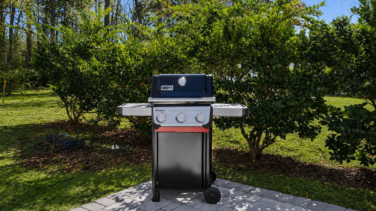 Photo of Outdoor in Bluffton