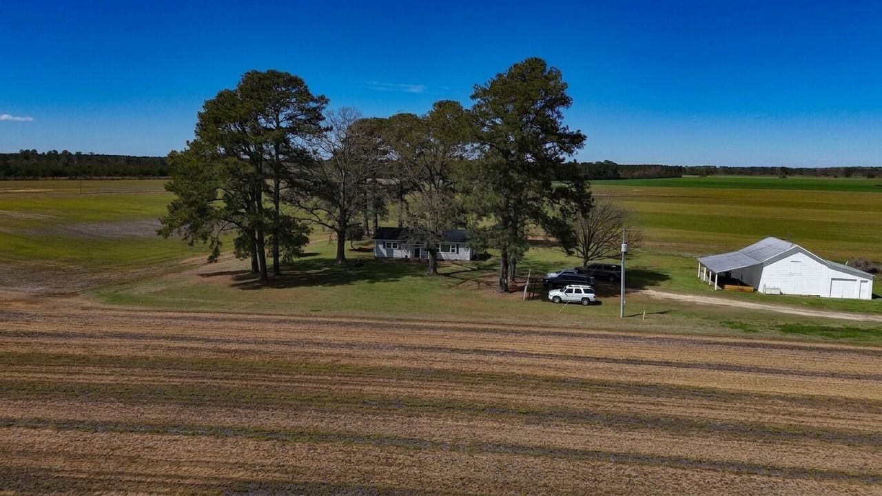 Photo of Others in Sampson County