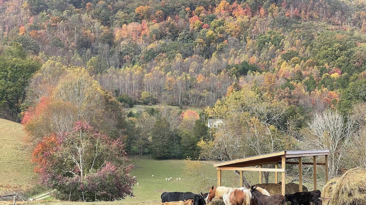 Photo of Others in Holmes Mill