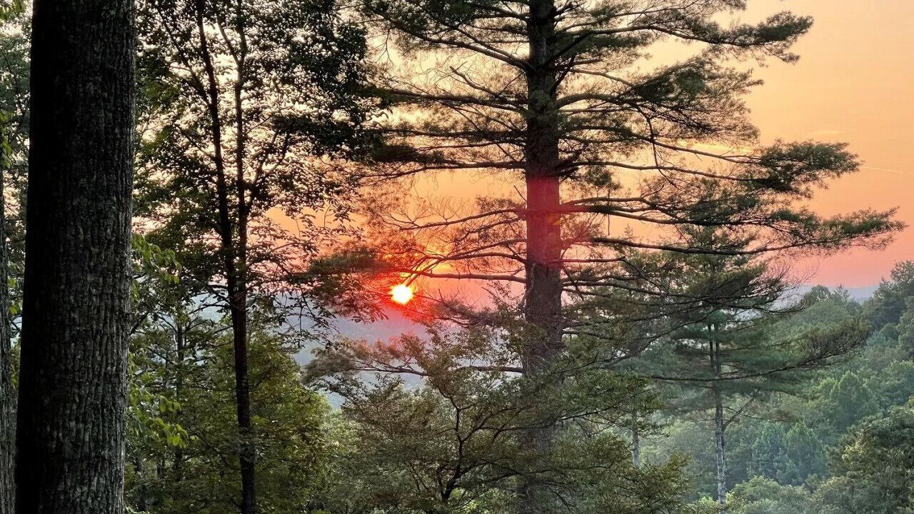 Photo of Others in Bryson City