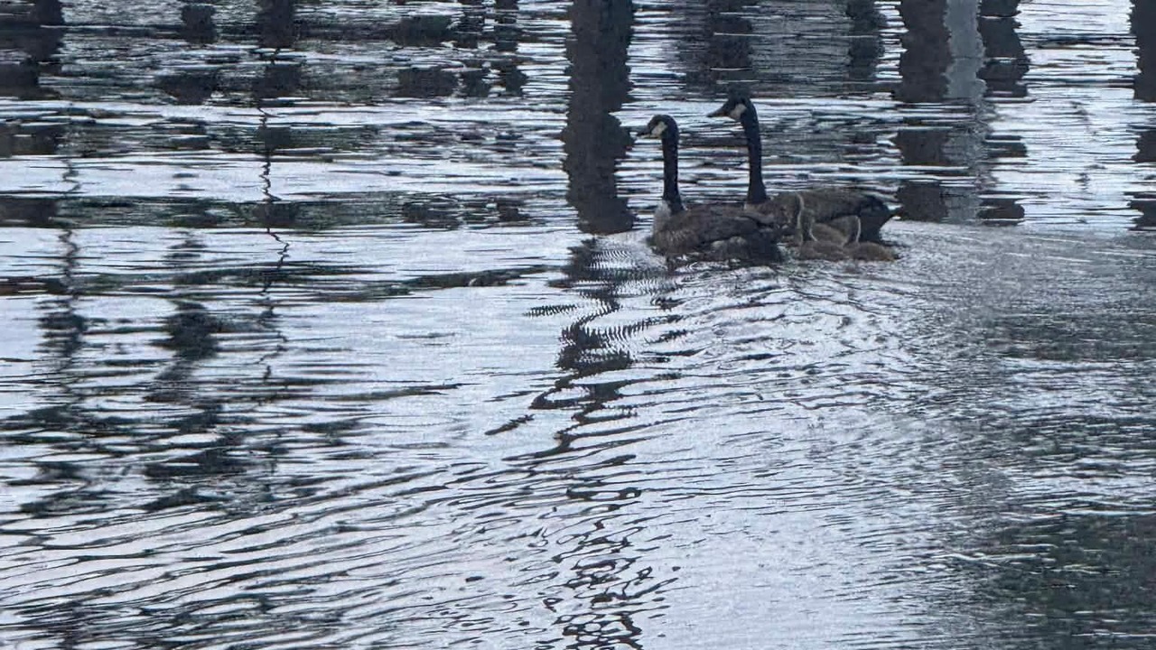 Photo of Others in Eutawville