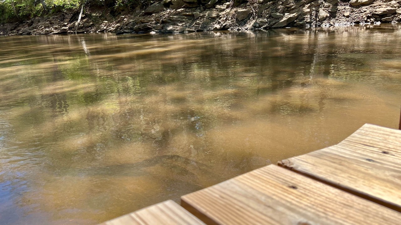 Photo of Others in Anderson