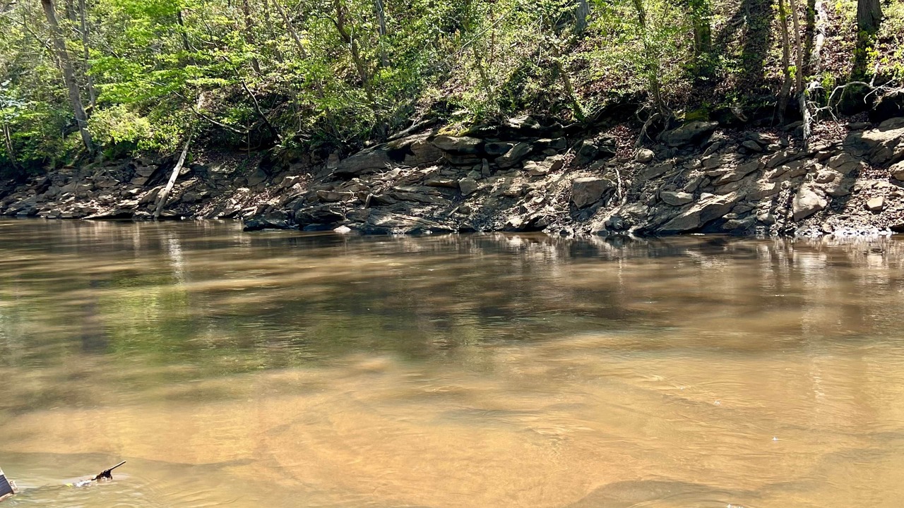 Photo of Others in Anderson