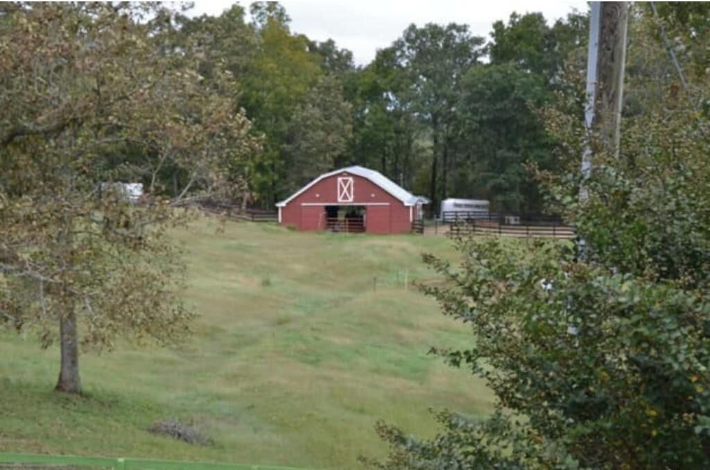 Photo of Outdoor in Gainesville