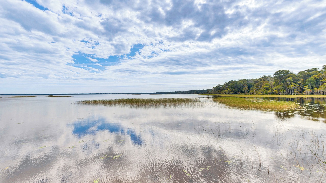 Photo of Outdoor in Lake Waccamaw