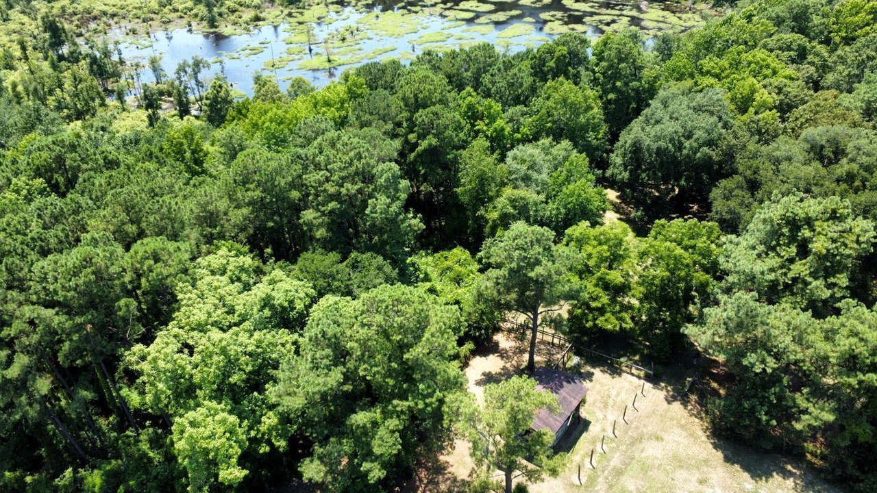 Photo of Outdoor in St. Stephen