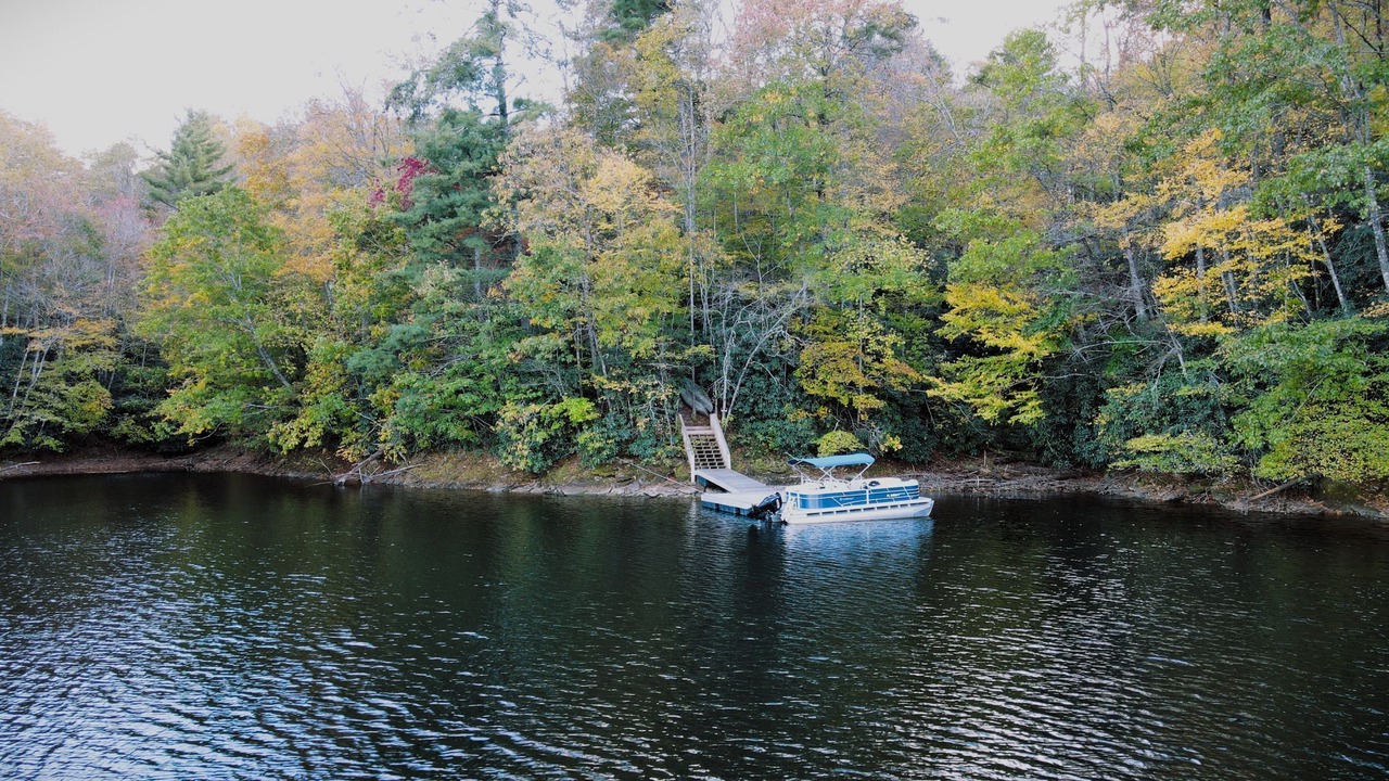 Photo of Others in Tuckasegee