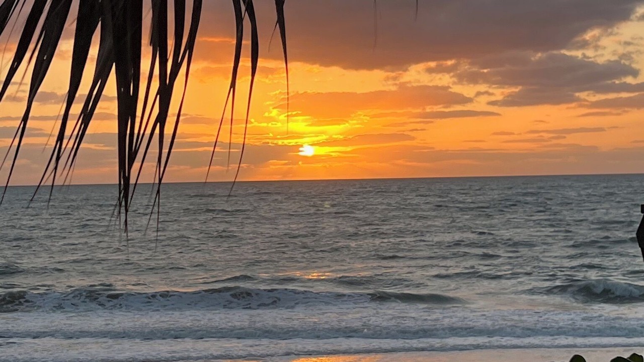 Photo of Others in Indian River Shores