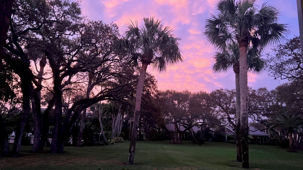 Photo of Others in Indian River Shores