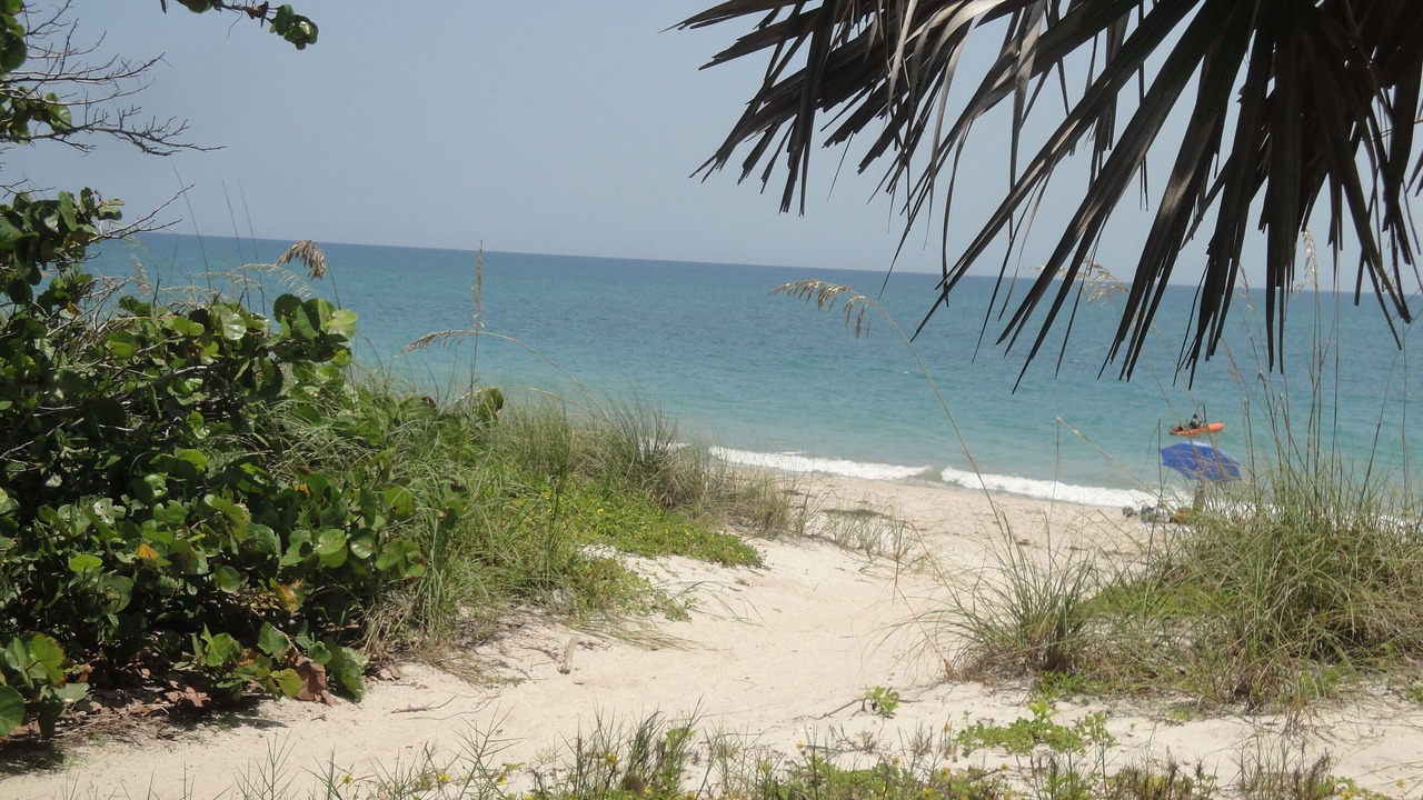 Photo of Others in Indian River Shores