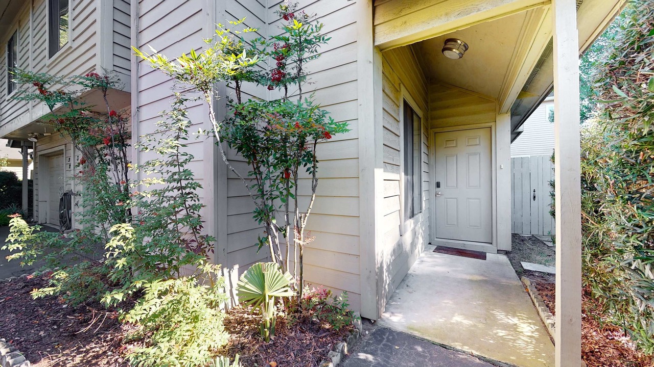 Photo of Outdoor in Charleston