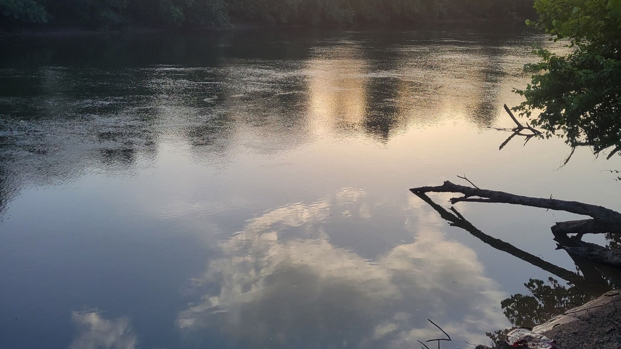 Photo of Others in South Carolina Lakes & Blackwater Rivers