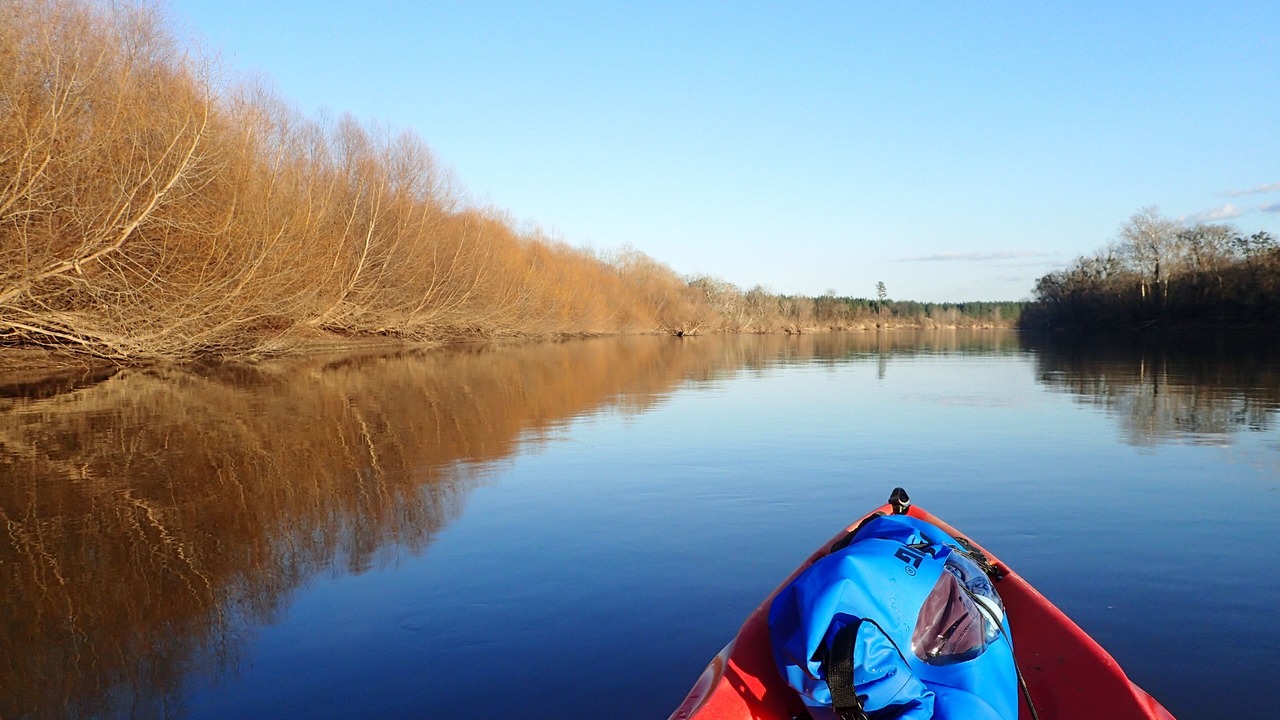 Photo of Others in South Carolina Lakes & Blackwater Rivers