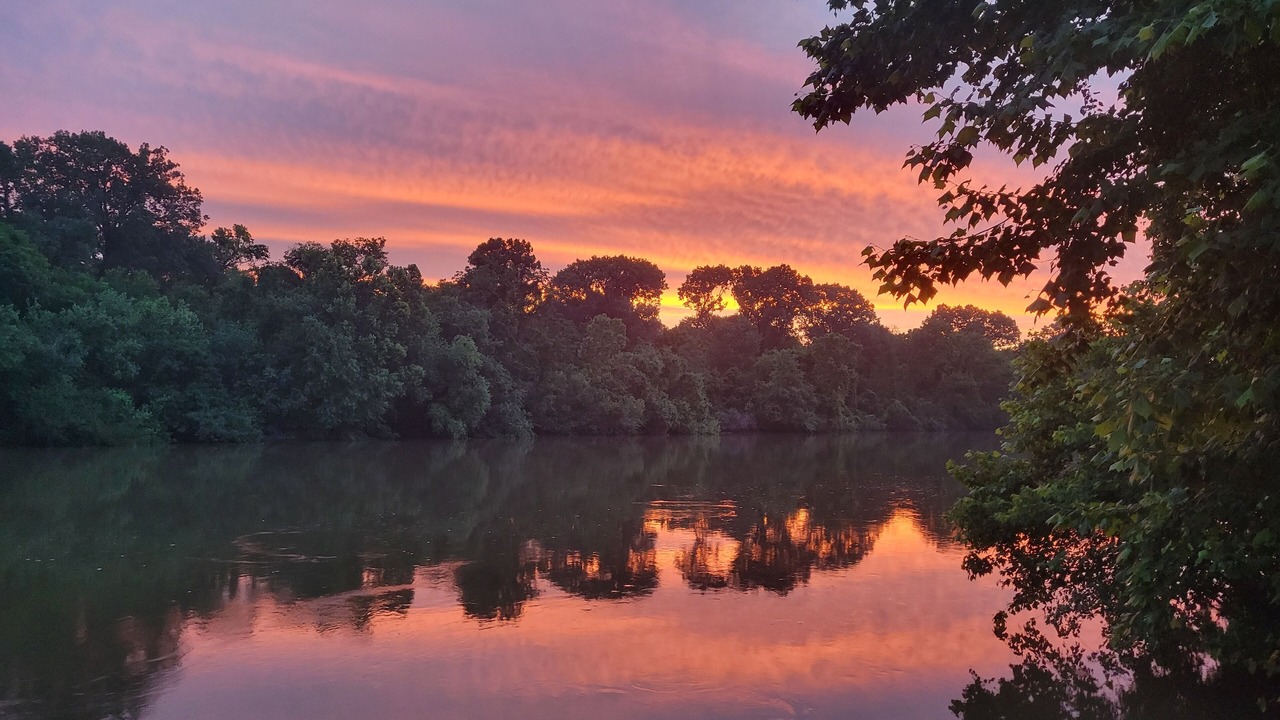 Photo of Others in South Carolina Lakes & Blackwater Rivers