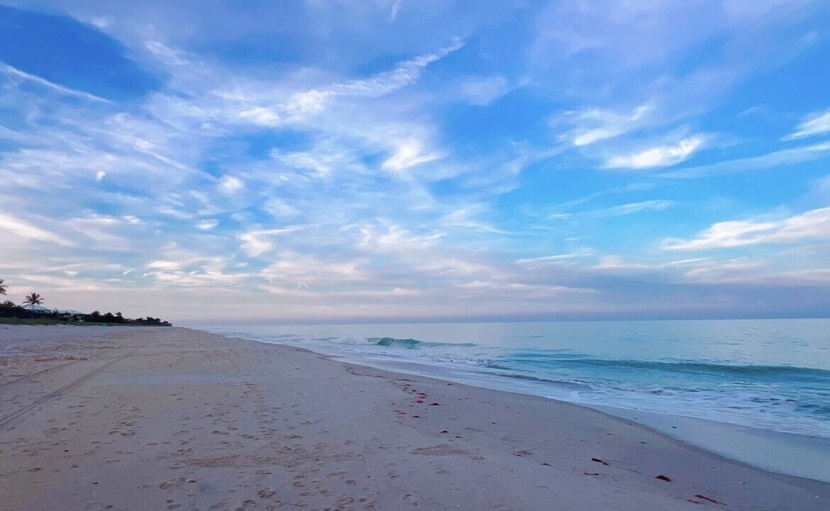 Photo of Others in South Beach