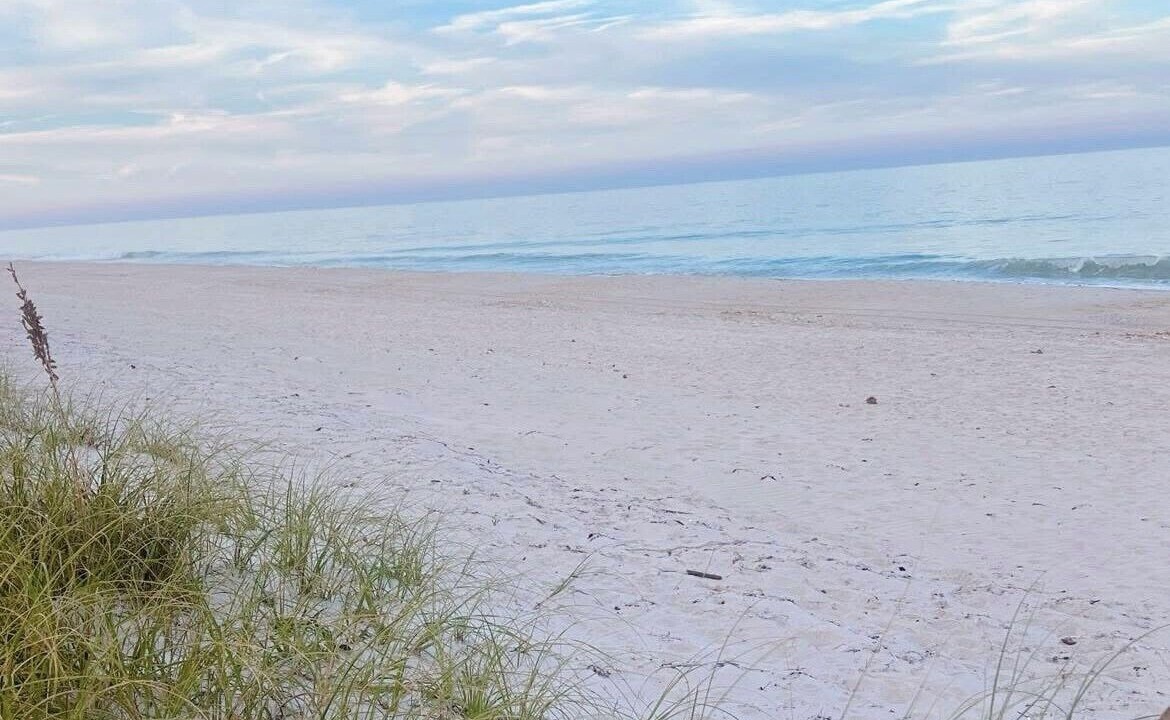 Photo of Others in South Beach