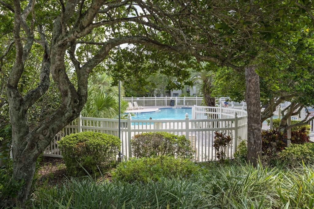 Photo of Outdoor in Southwest Orlando