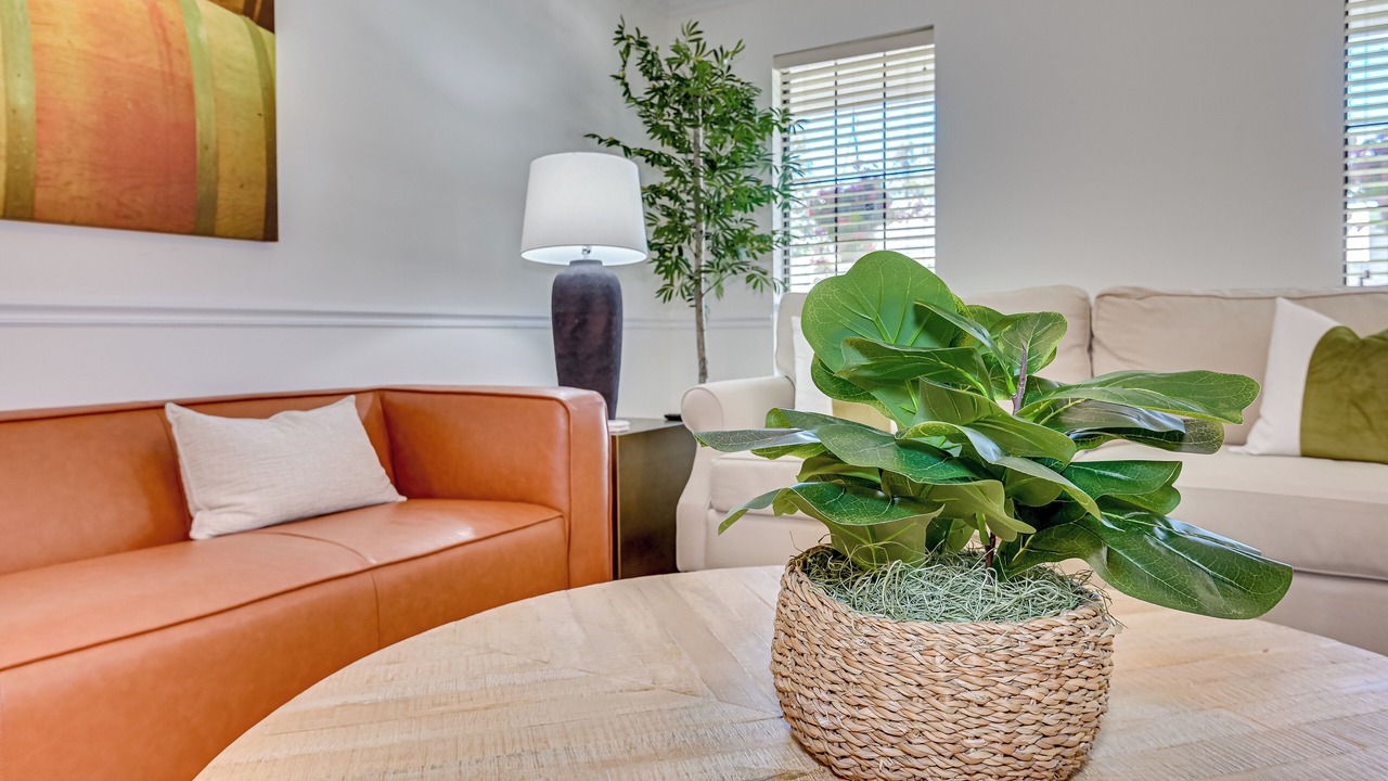Photo of Livingroom in North Augusta
