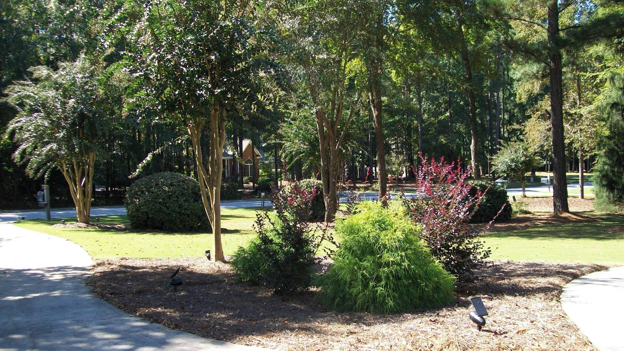Photo of Outdoor in Langley