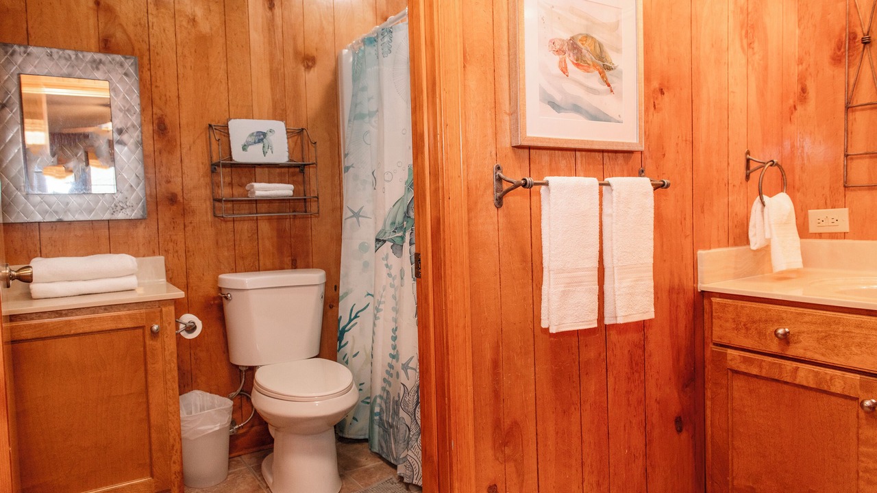 Photo of Bathroom in Summerton