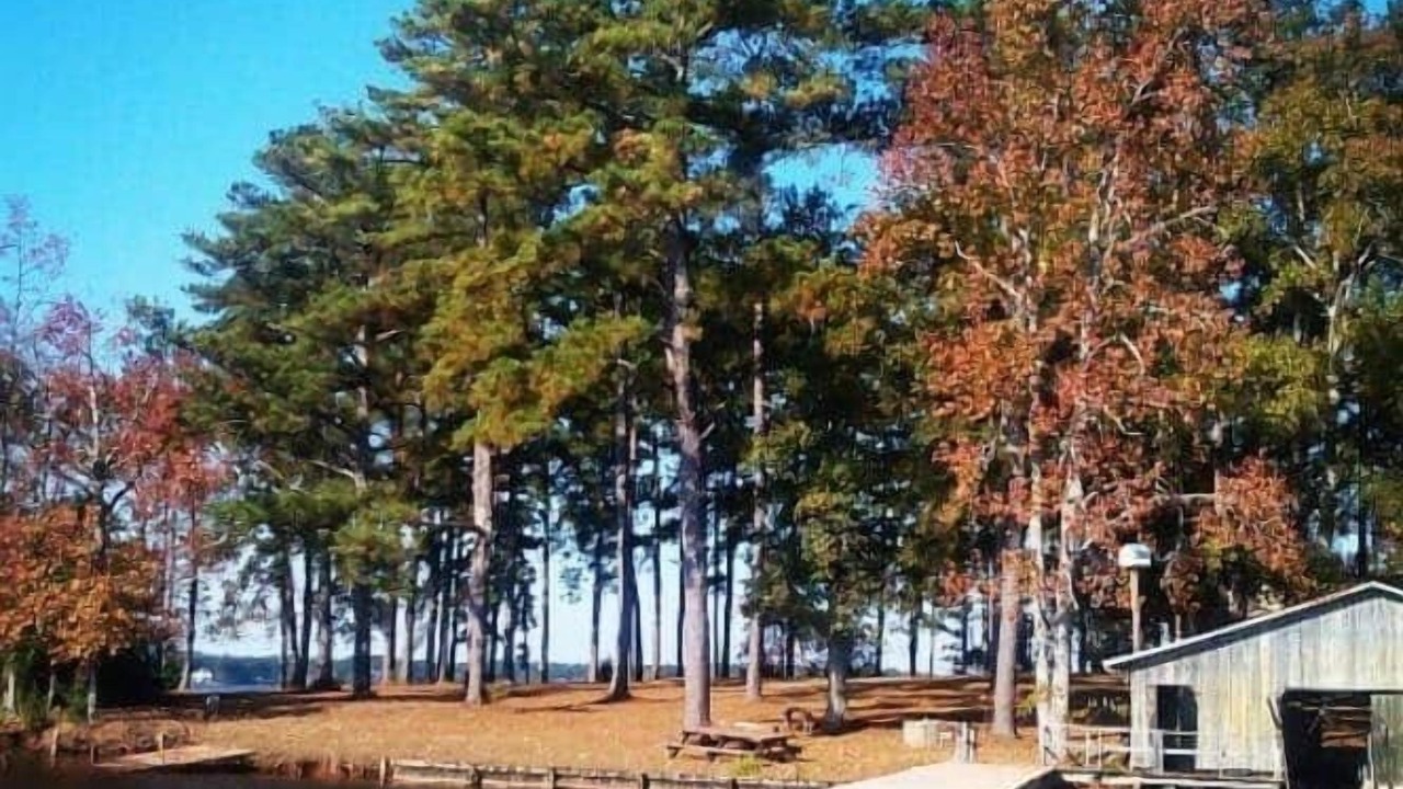 Photo of Others in Cross Hill