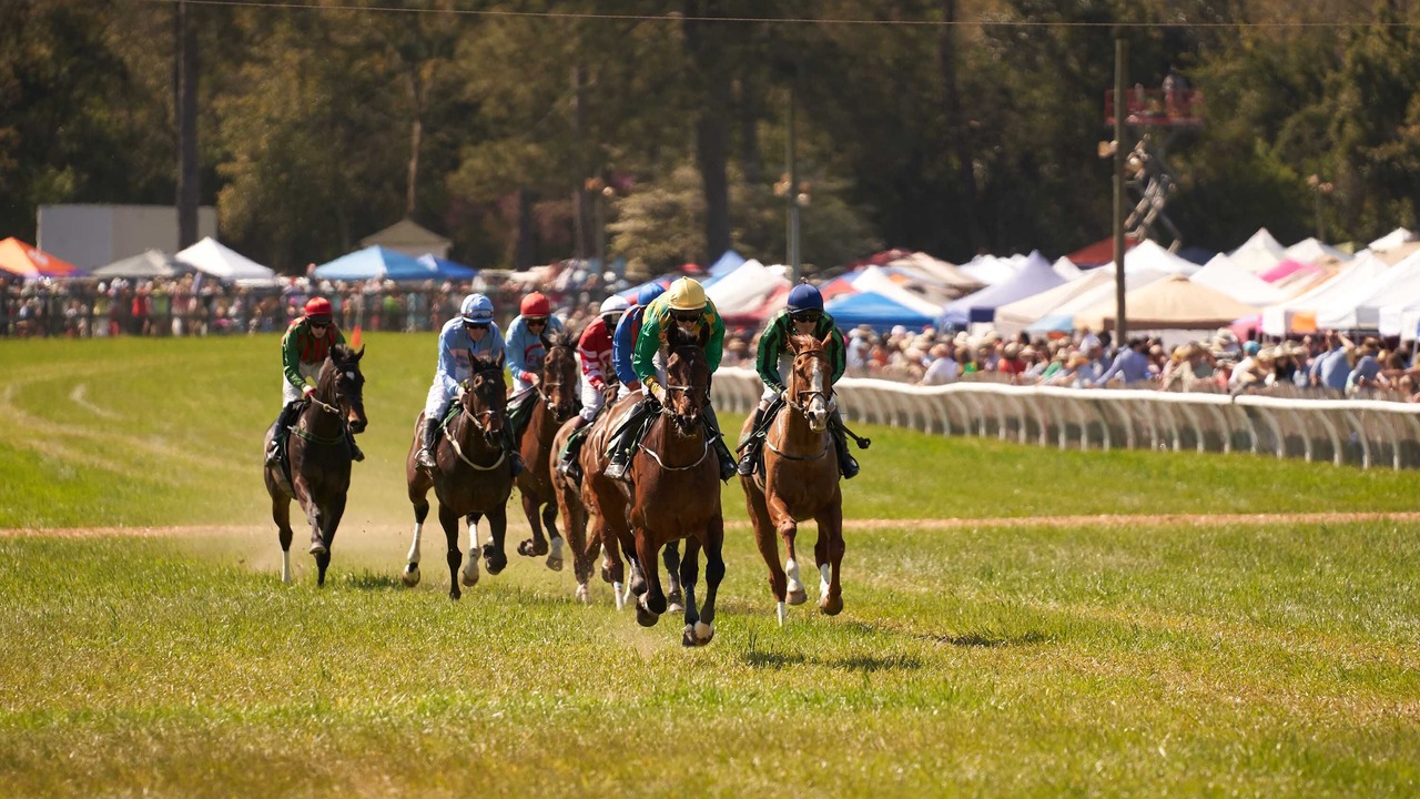 Photo of Others in Aiken