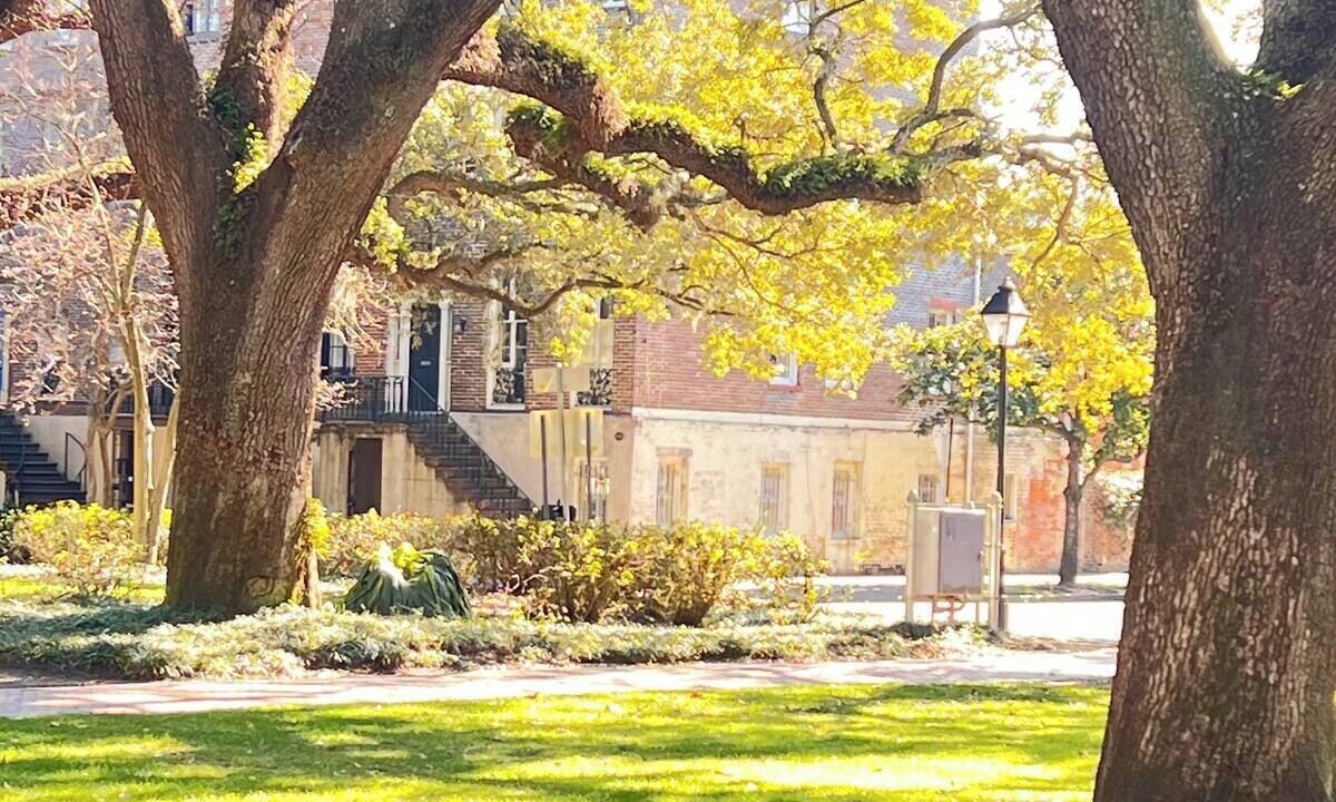 Photo of Outdoor in Old West Broad Neighborhood