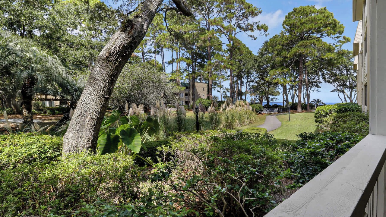 Photo of Outdoor in Palmetto Dunes