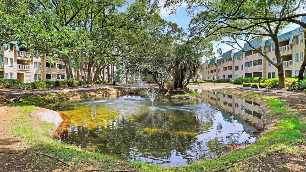 Photo of Outdoor in Palmetto Dunes
