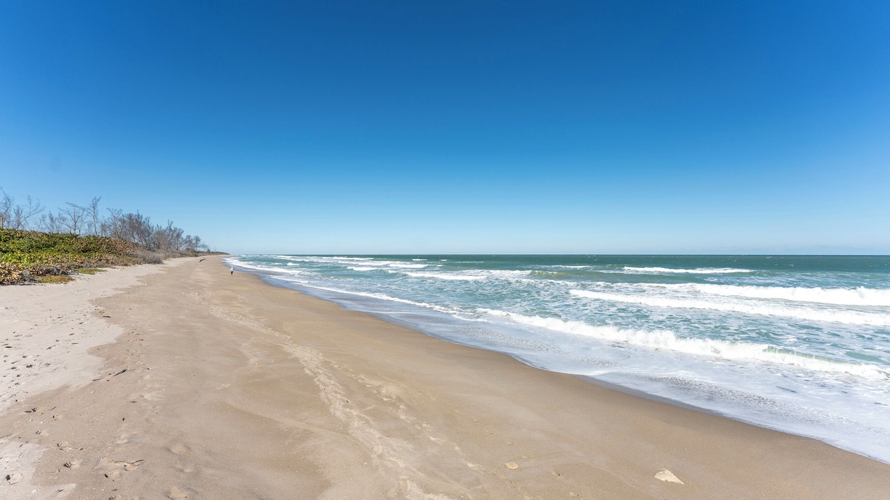 Photo of Others in Hutchinson Island South