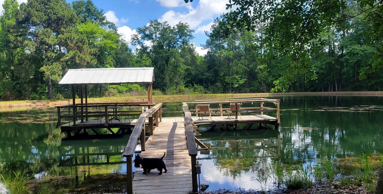 Photo of Outdoor in Claxton
