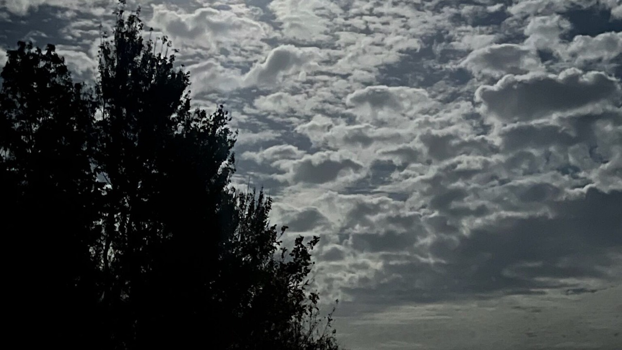 Photo of Outdoor in Fedhaven