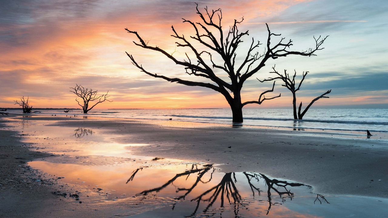 Photo of Others in Edisto Island