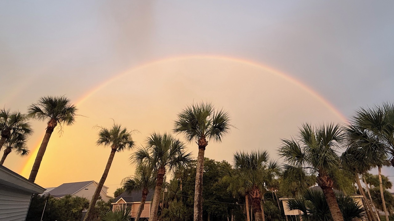 Photo of Outdoor in Edisto Island