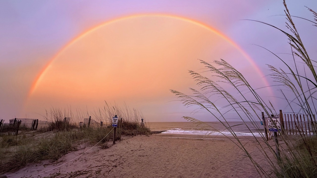 Photo of Others in Edisto Island