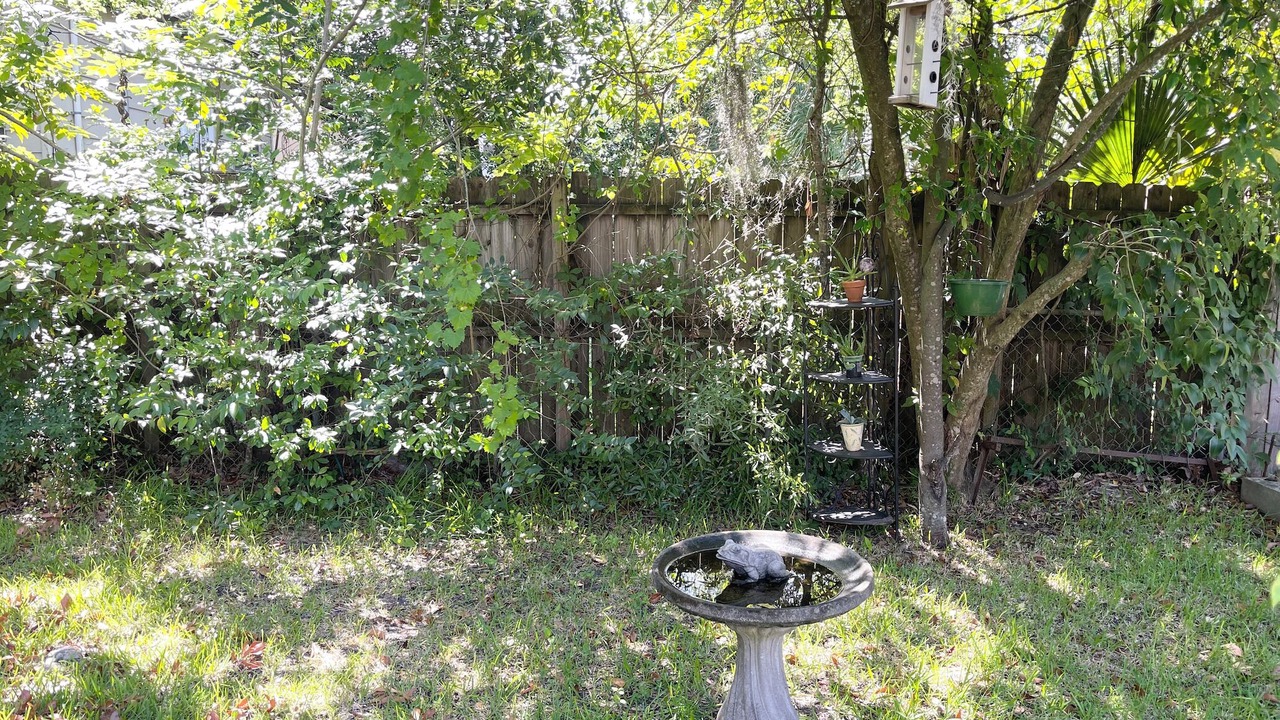 Photo of Outdoor in Midtown