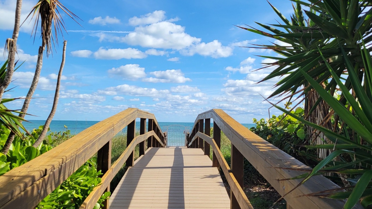 Photo of Outdoor in Central Beach