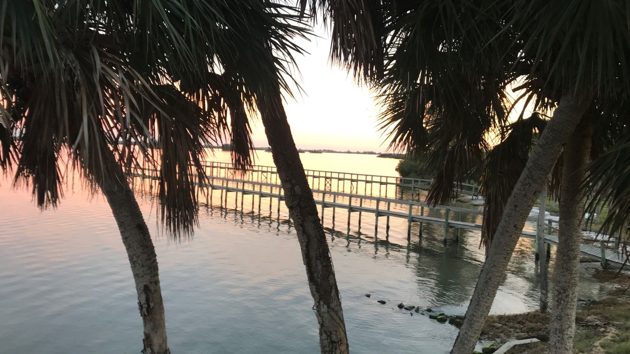 Photo of Others in Sebastian