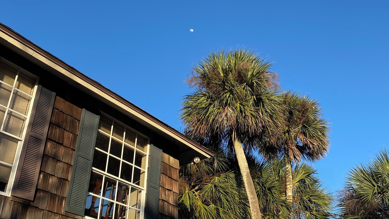 Photo of Others in Sebastian