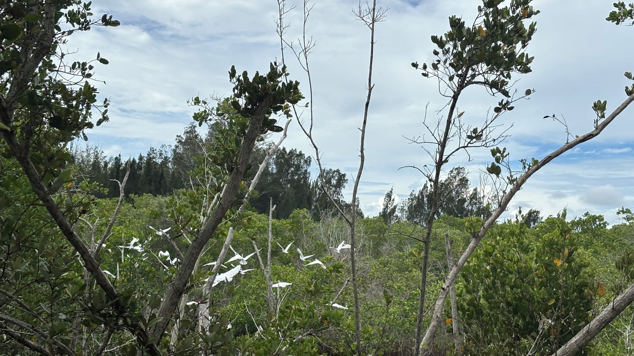 Photo of Others in Sebastian